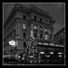 Weihnachtsbaum vor dem Café Landtmann ~ 2023/50
