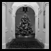Weihnachtsbaum im Palais Daun-Kinsky ~ 2023/51